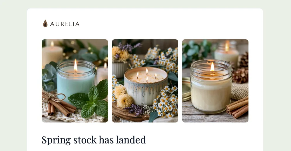An email carrying the same logo, colors, and photography as the storefront it was sent from.